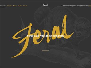 2019年5月份網站設計趨勢